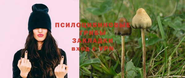 МДПВ Алексин