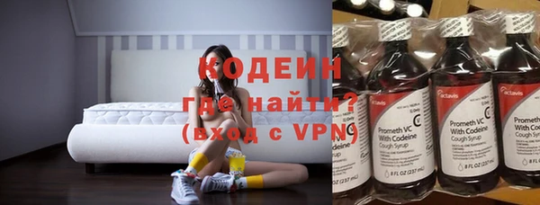 гидра Ельня