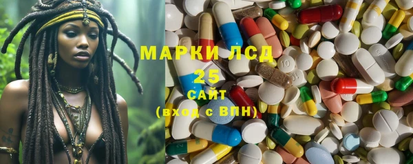 ПСИЛОЦИБИНОВЫЕ ГРИБЫ Абдулино